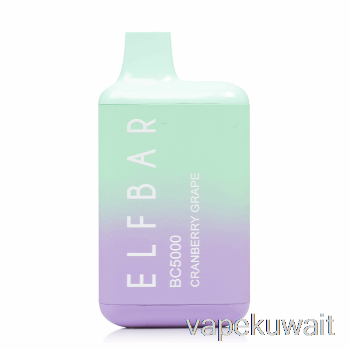 BC5000 0% صفر نيكوتين نظام جراب Vape عنب التوت البري القابل للتصرف